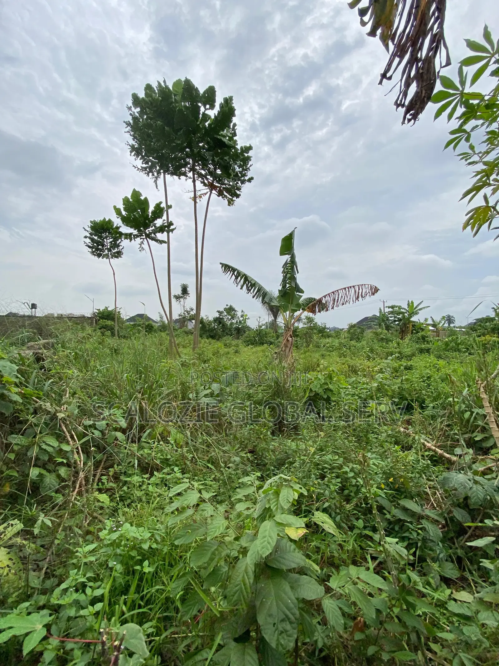 Standard 1 Plot Of Land With Constant Electricity And Secured Estate in Elimbu
