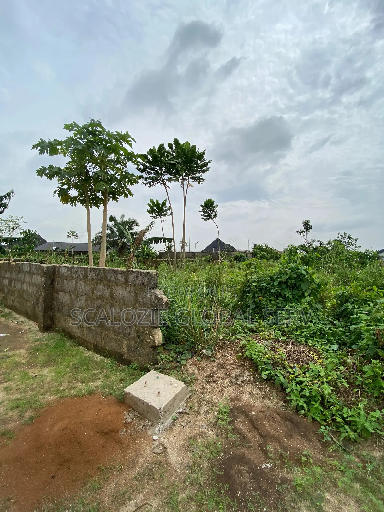 Standard 1 Plot Of Land With Constant Electricity And Secured Estate in Elimbu