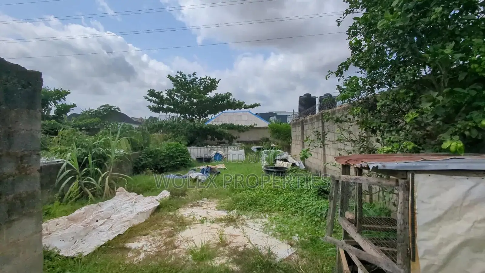 Fish Pond Farm On Half Plot Of Land, Abule Odu Egbeda in Egbeda