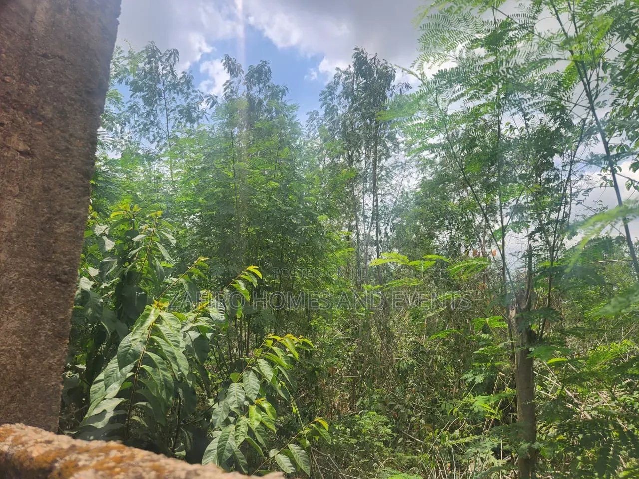 Fenced and Gated 4 Plot of Land at Akingbile Oluana Moniya Iita Road in Ibadan