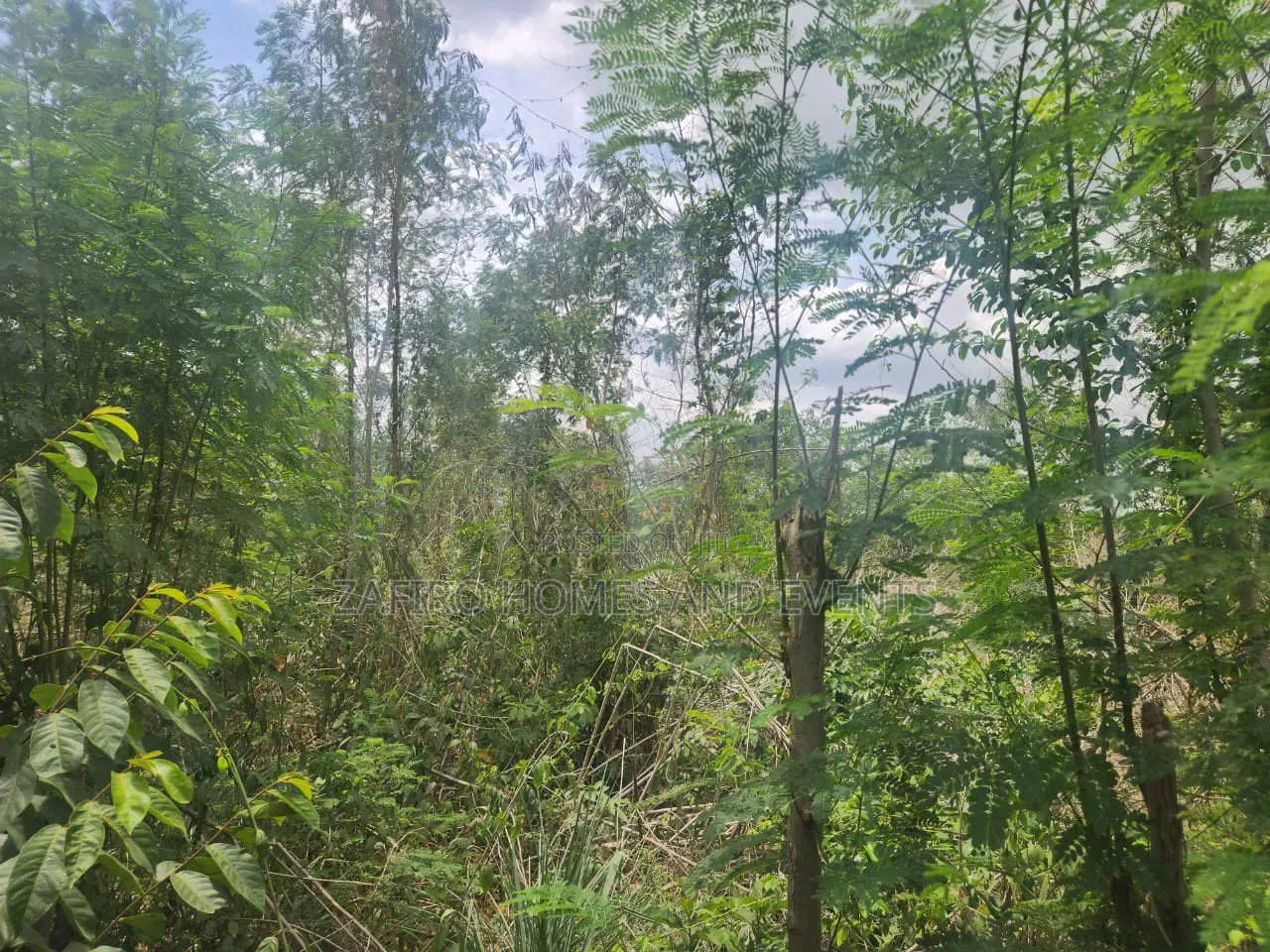 Fenced and Gated 4 Plot of Land at Akingbile Oluana Moniya Iita Road in Ibadan