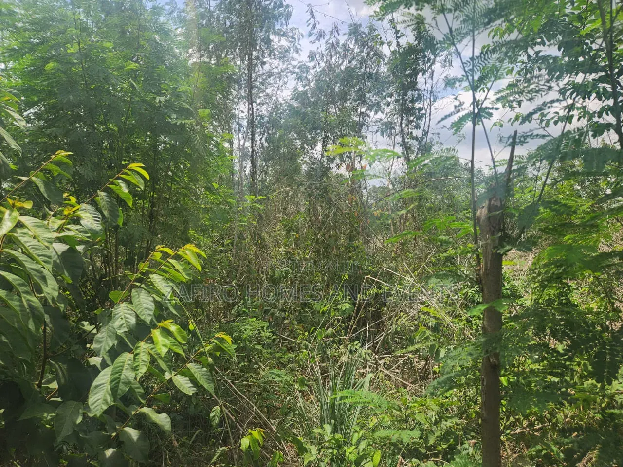 Fenced and Gated 4 Plot of Land at Akingbile Oluana Moniya Iita Road in Ibadan