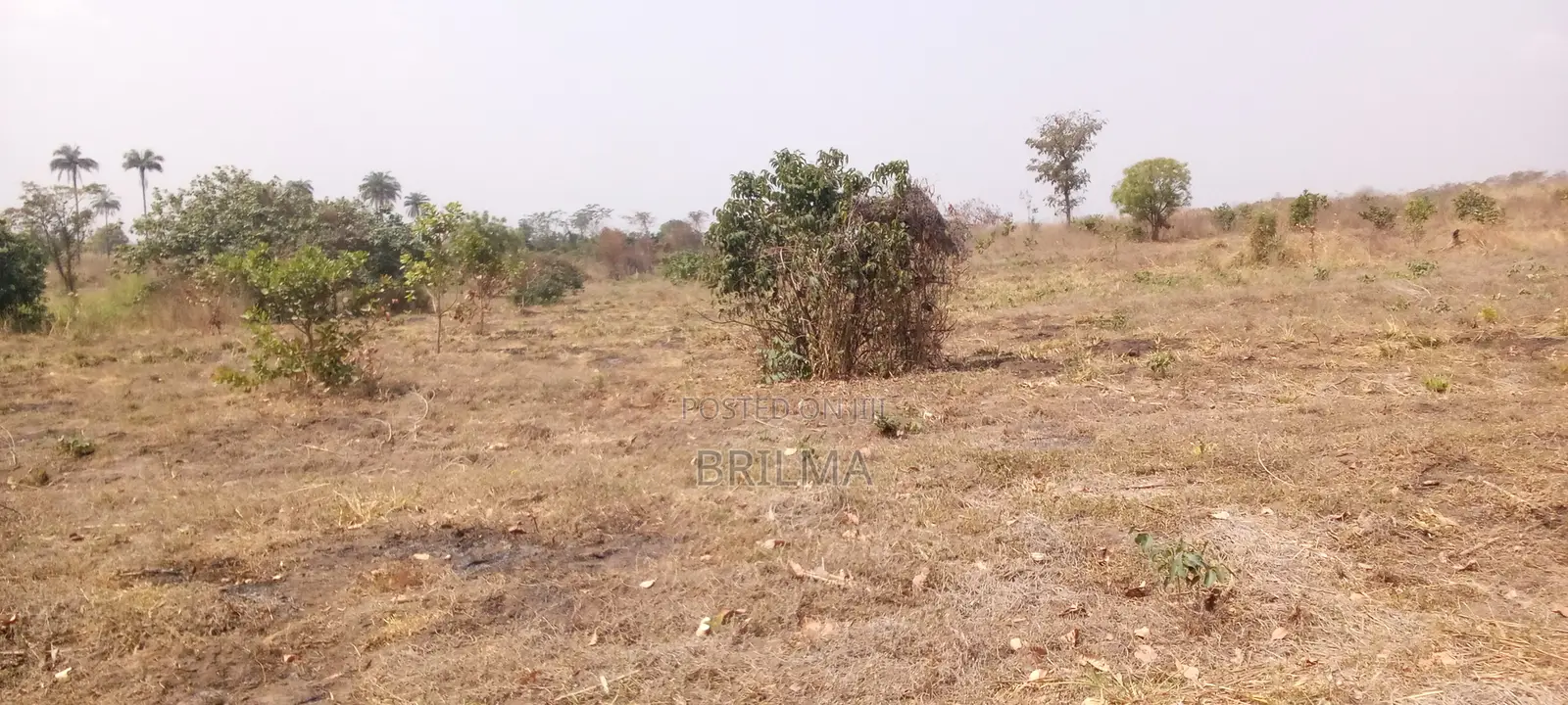915 SQM of Plot for Sale in Gaduwa in Gaduwa
