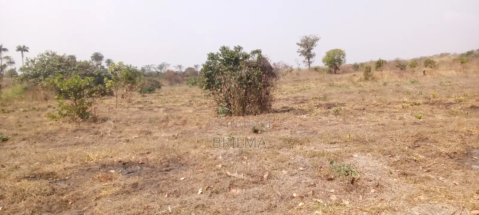 915 SQM of Plot for Sale in Gaduwa in Gaduwa