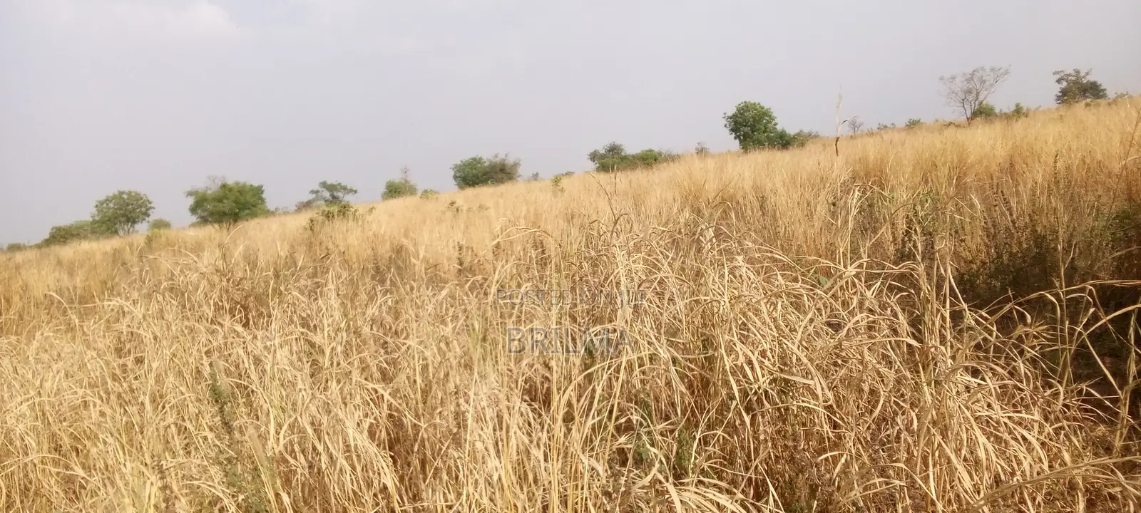 915 SQM of Plot for Sale in Gaduwa in Gaduwa