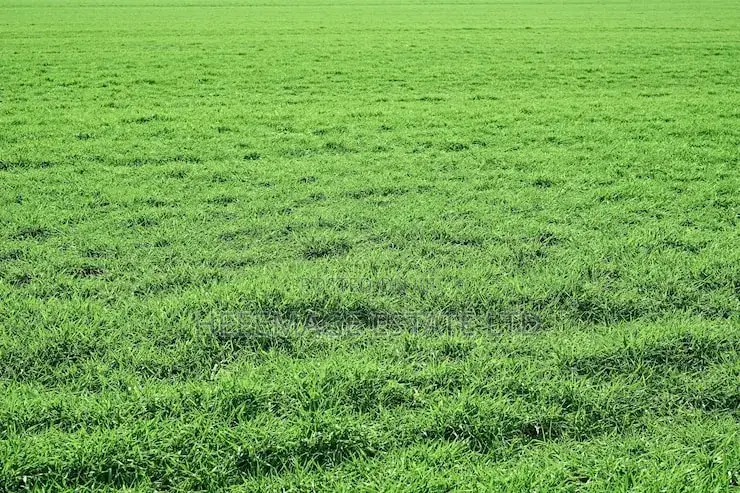 Farmland In Gaube Kuje in Kuje