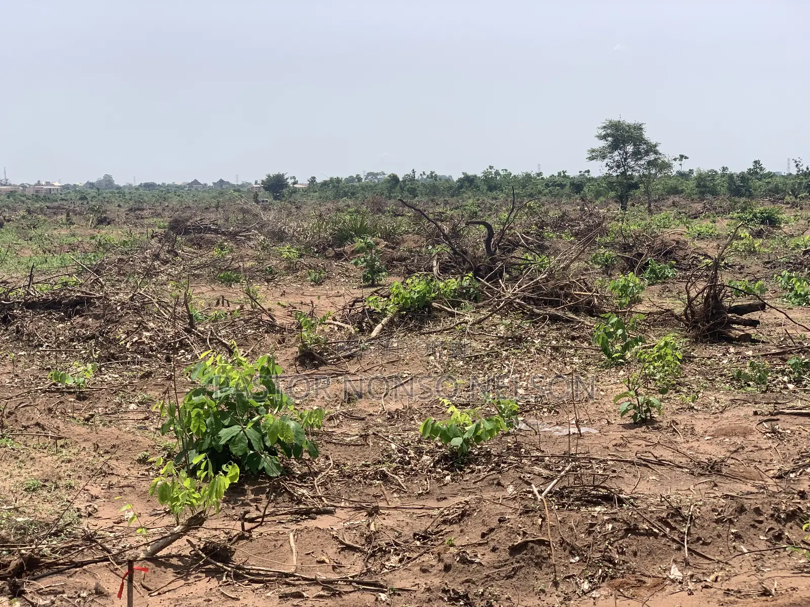 205plots at Umuapu for Sale in Imo State