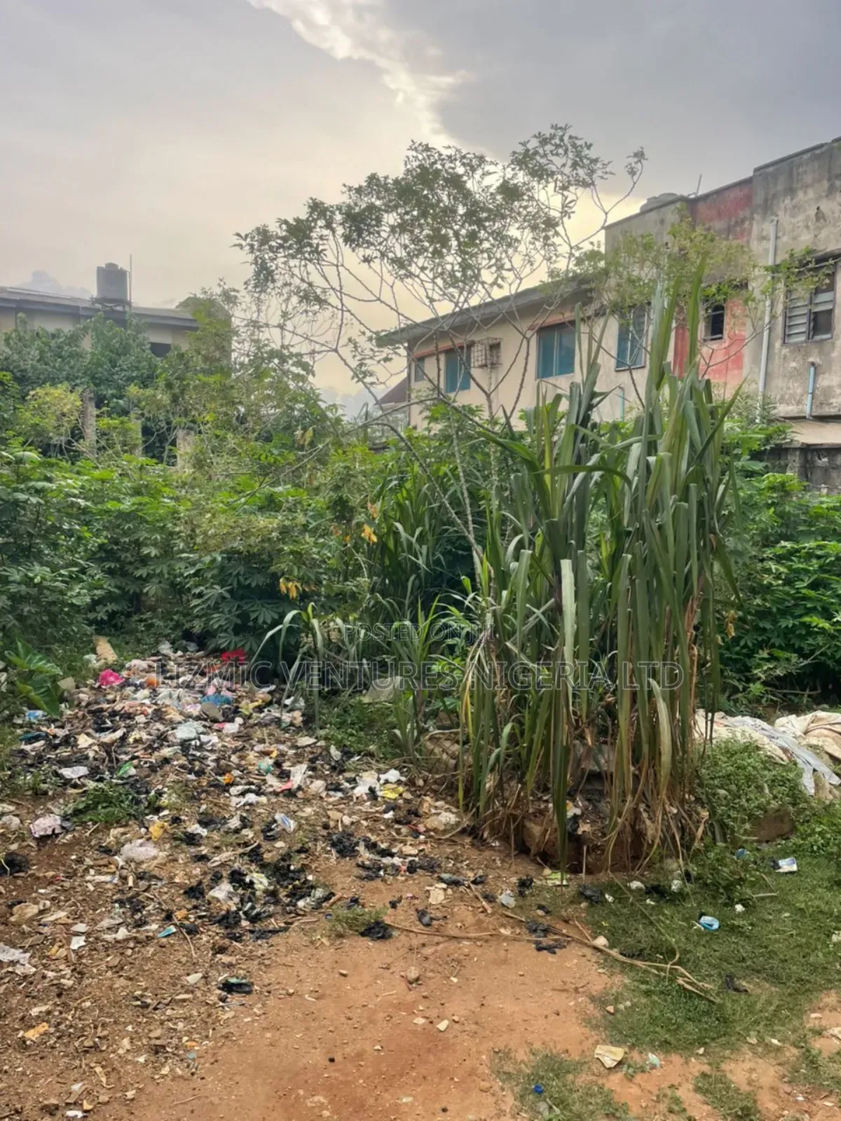 Virgin Land Half Plot for Sale in Akesan