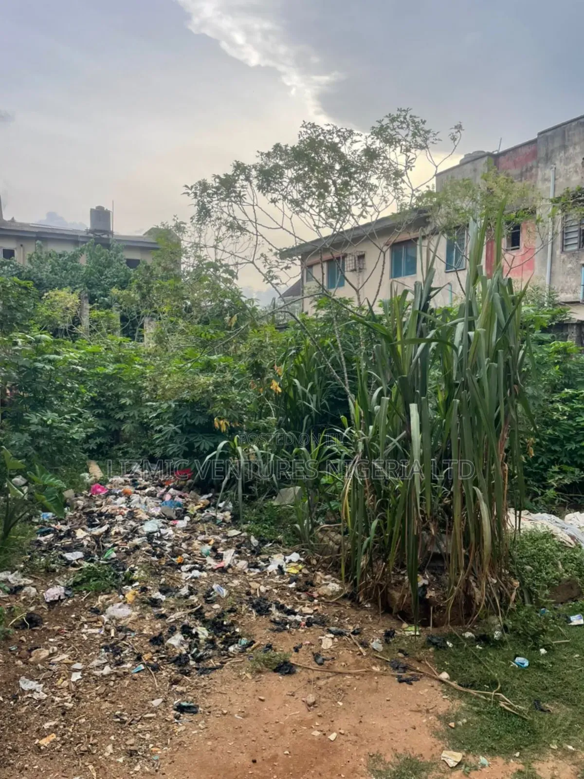 Virgin Land Half Plot for Sale in Akesan
