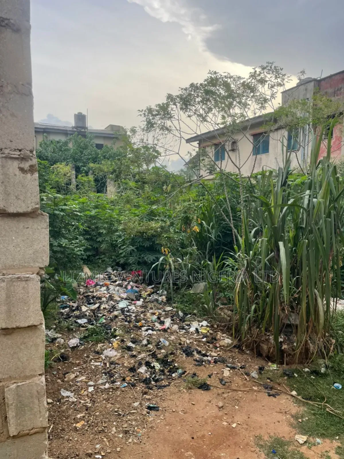 Virgin Land Half Plot for Sale in Akesan