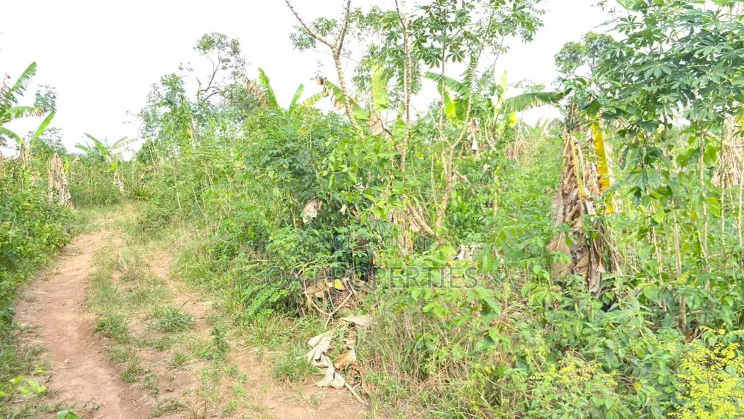 100 Acres of Land Is Available for Sale Sotunbo, Sagamu, Ogun State in Shimawa