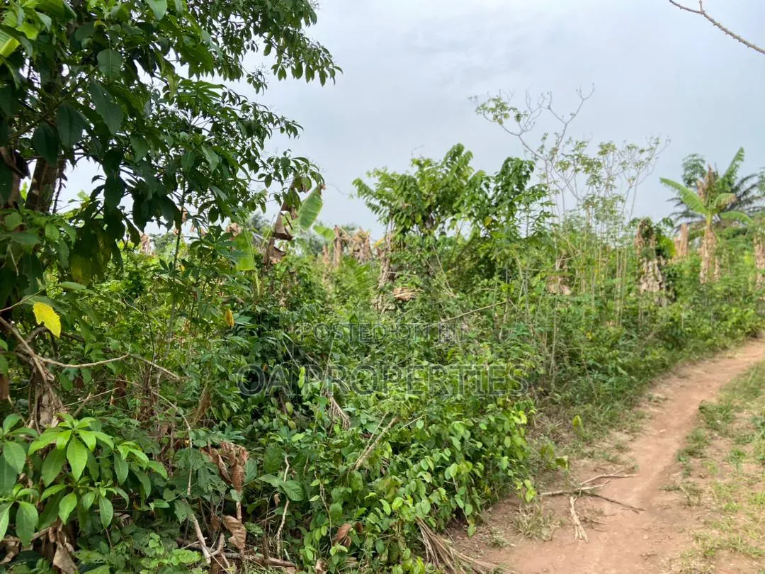 100 Acres of Land Is Available for Sale Sotunbo, Sagamu, Ogun State in Shimawa