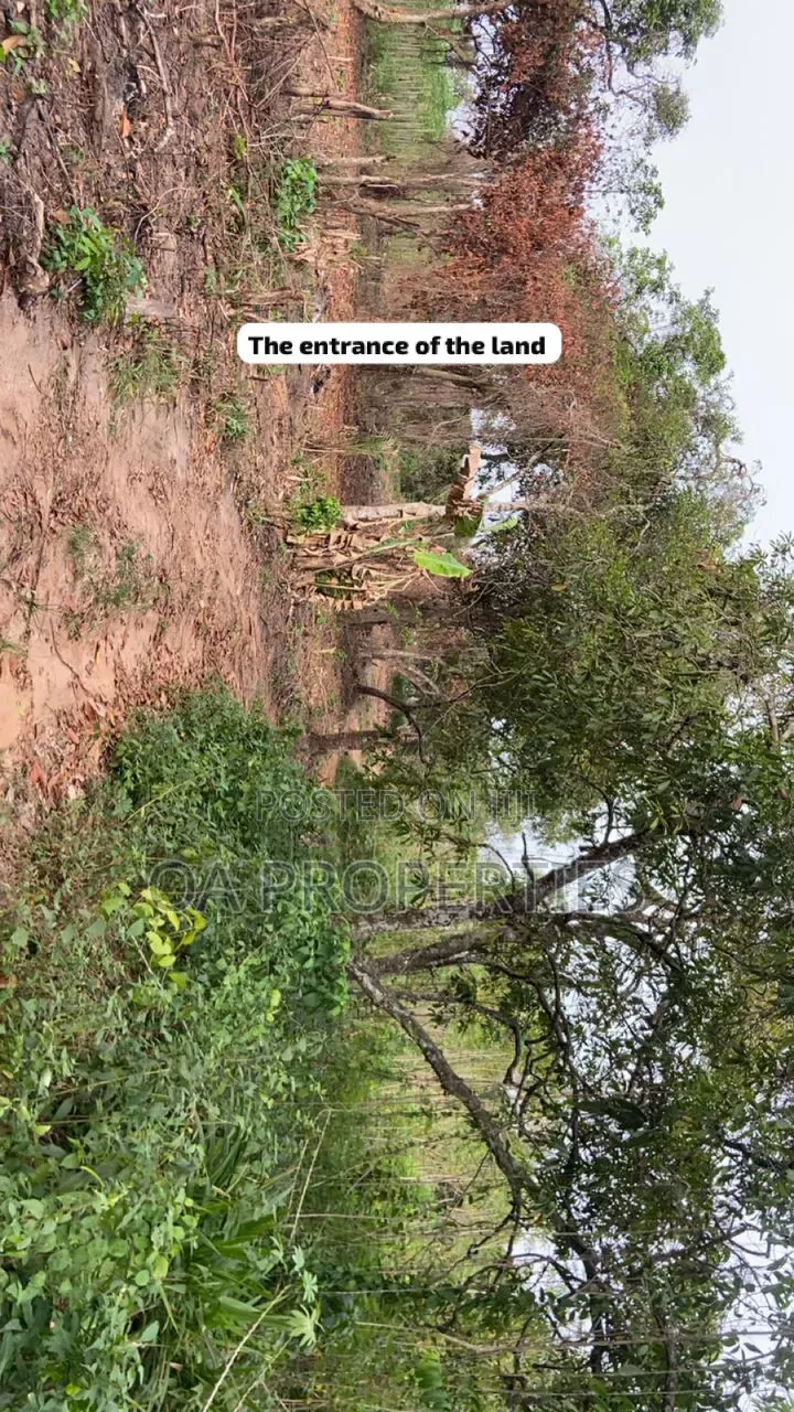 100 Acres of Land Is Available for Sale Sotunbo, Sagamu, Ogun State in Shimawa