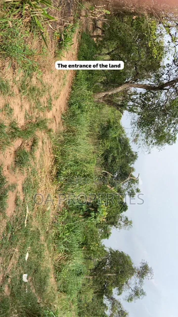 100 Acres of Land Is Available for Sale Sotunbo, Sagamu, Ogun State in Shimawa