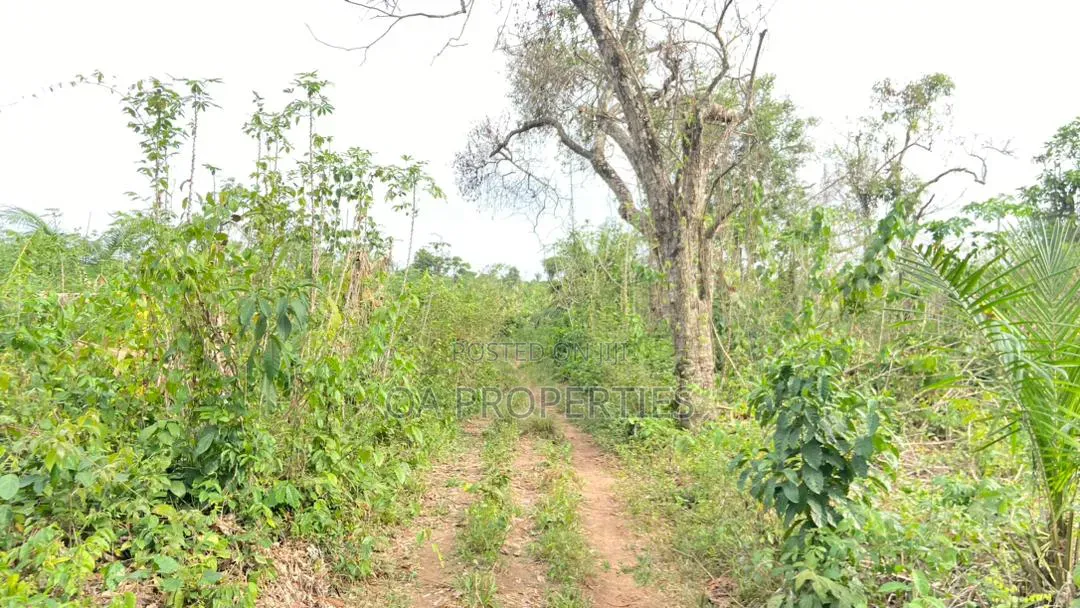 100 Acres of Land Is Available for Sale Sotunbo, Sagamu, Ogun State in Shimawa