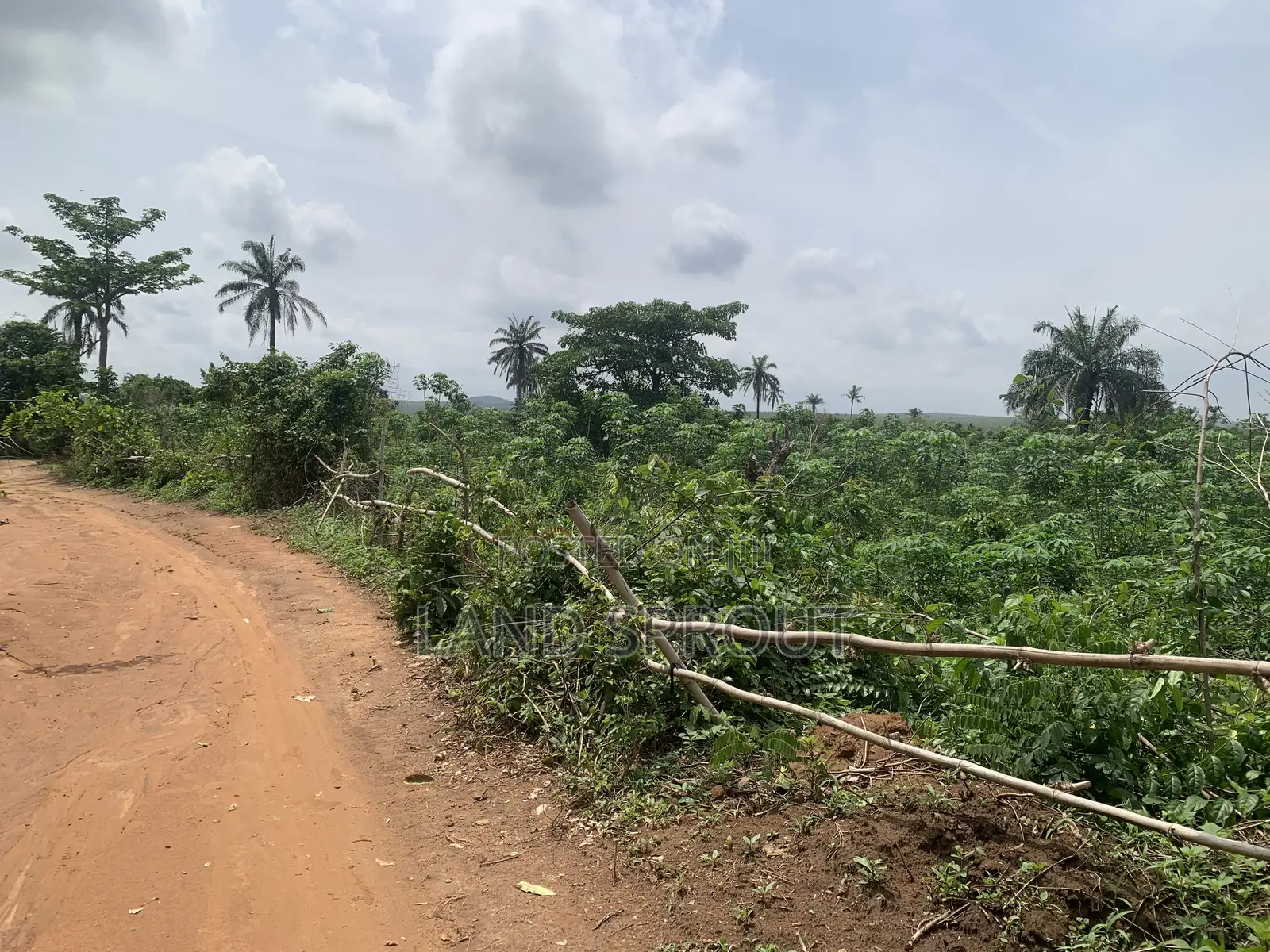 30 Acres of Land for Sale at Idi-Ayunre, Ibadan in Oluyole