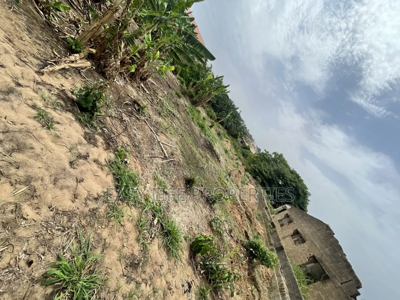 A Plot and a Half Plot of Land at Celica in Alakia