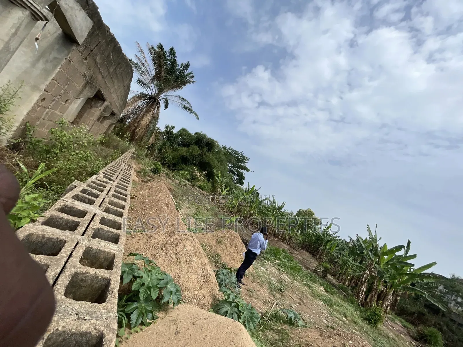 A Plot and a Half Plot of Land at Celica in Alakia