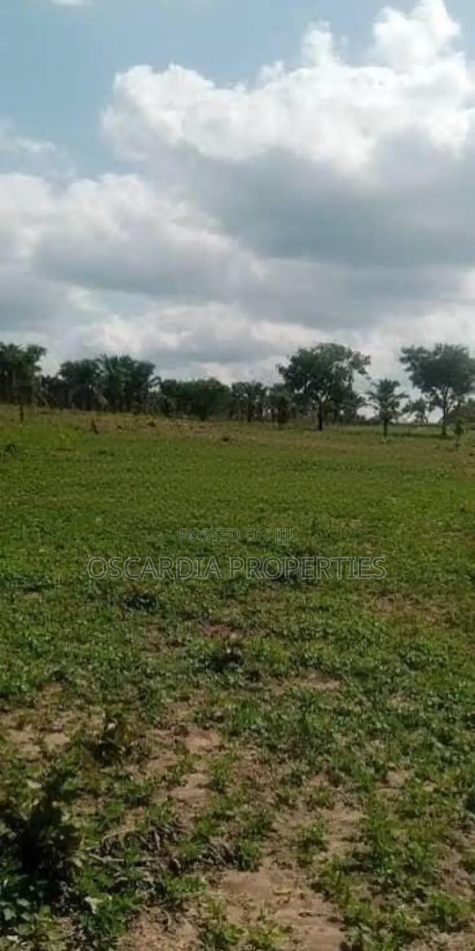 150 Hectares Apo Wasa Abuja For Sale in Wasa