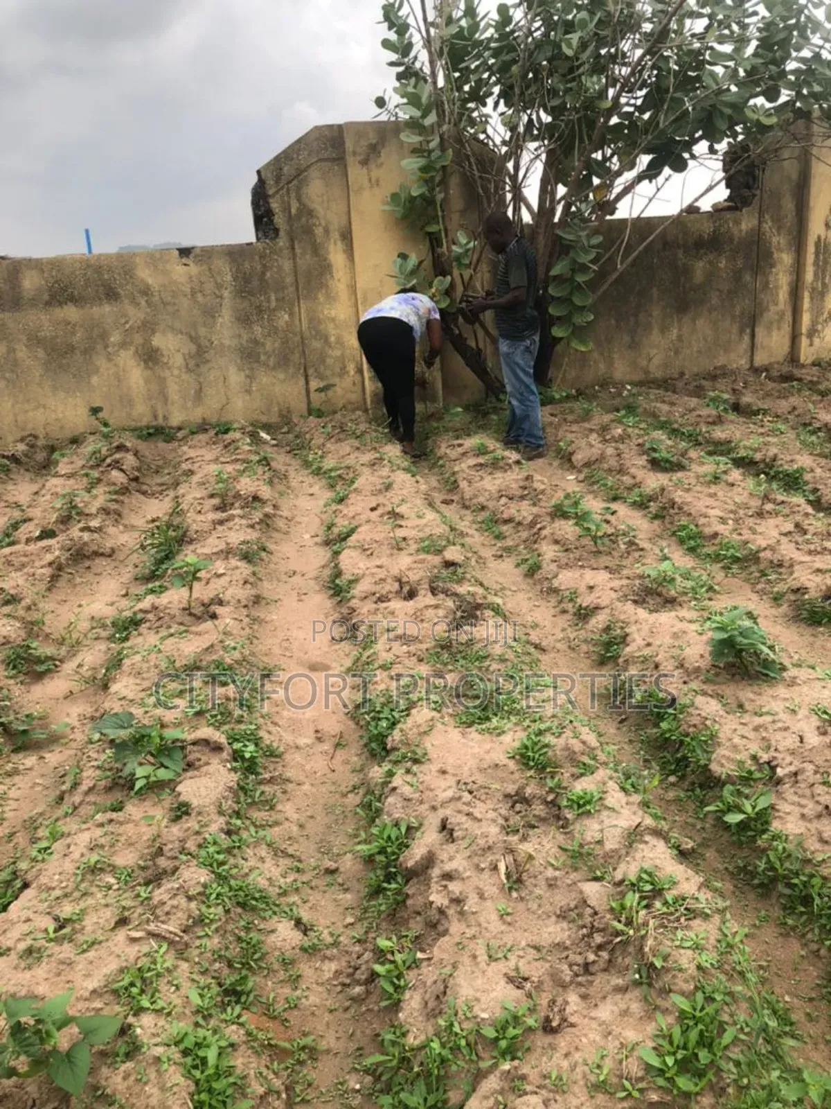 6000sqm Land Available at Kyamie for Sale in Kiami