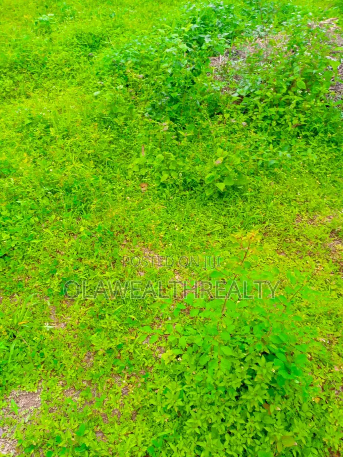 1380sqm Commercial Land At Mokola in Ibadan