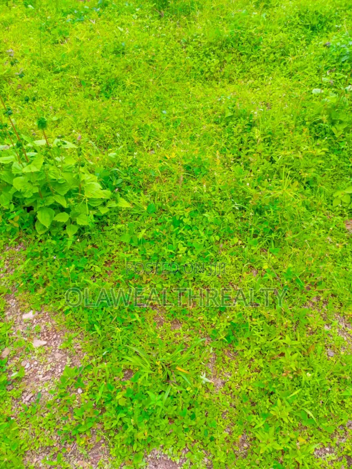 600sqm Residential Land At Kolapo Ishola Estate, Akobo in Ibadan