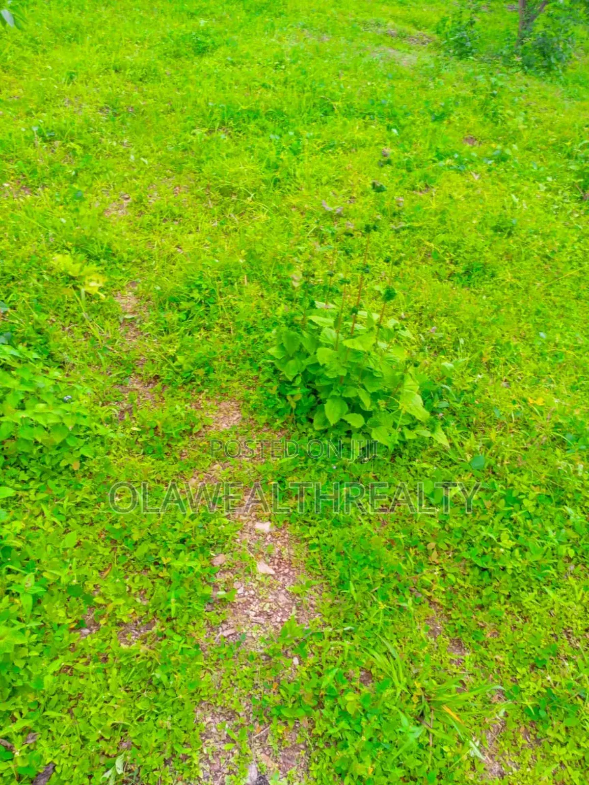 600sqm Residential Land At Kolapo Ishola Estate, Akobo in Ibadan