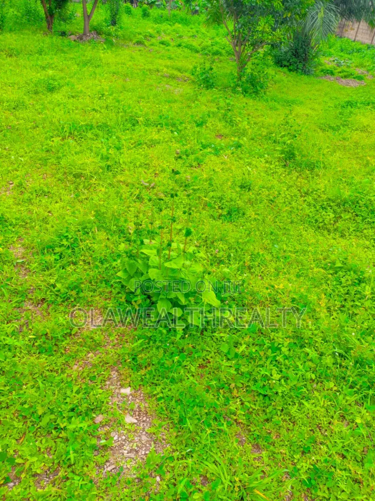 1,200sqm Residential Land at Kolapo Ishola Gra in Ibadan