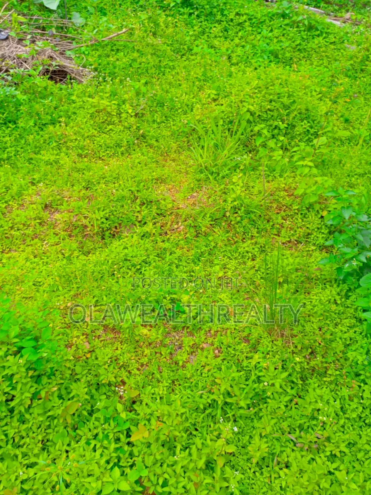 1,500sqm Residential Land at Bashorun Housing Estate, Bashorun in Ibadan