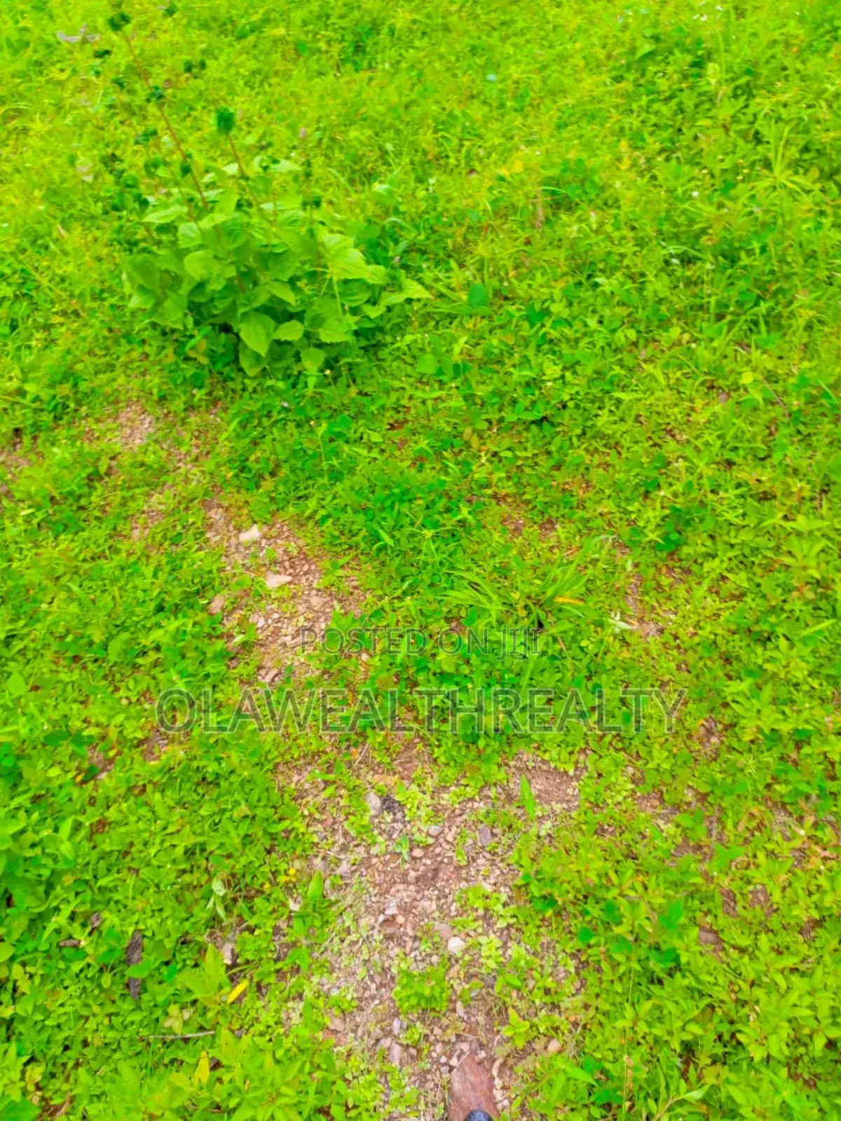 1,500sqm Residential Land at Bashorun Housing Estate, Bashorun in Ibadan