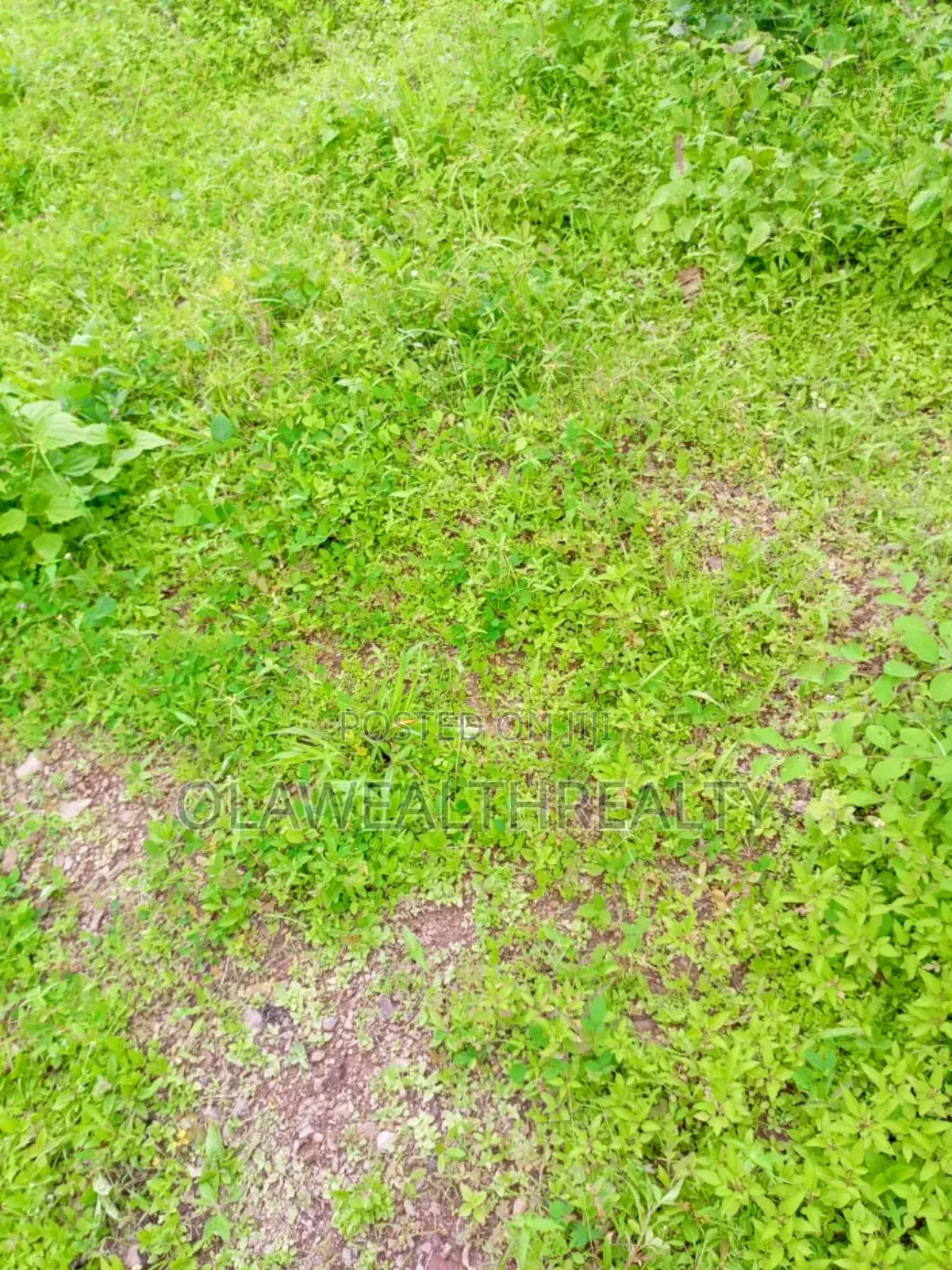 1000sqm Residential Land at Lere Adigun Gra, Bashorun in Ibadan