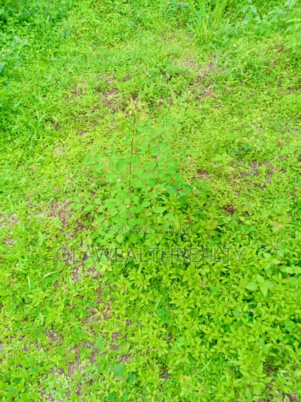 1,042sqm Residential Land at Lere Adigun G.R.A, Bashorun in Ibadan