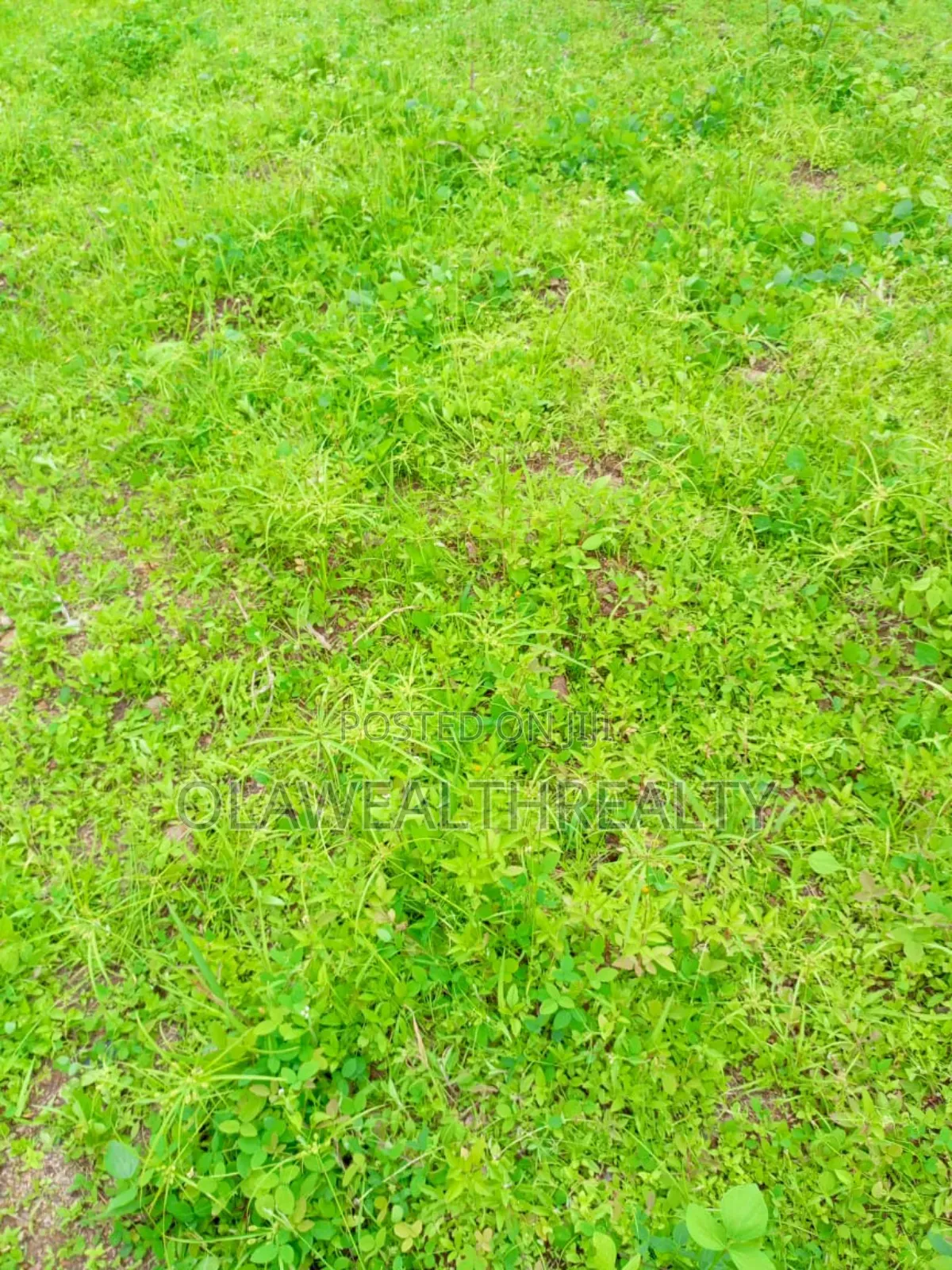 510sqm Commercial Land at Kolapo Ishola Gra in Ibadan