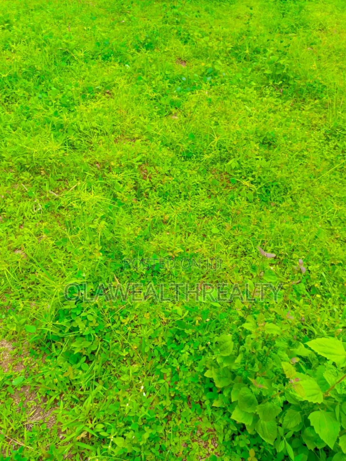 1029sqm Residential Land at Lere Adigun Gra, Bashorun in Ibadan