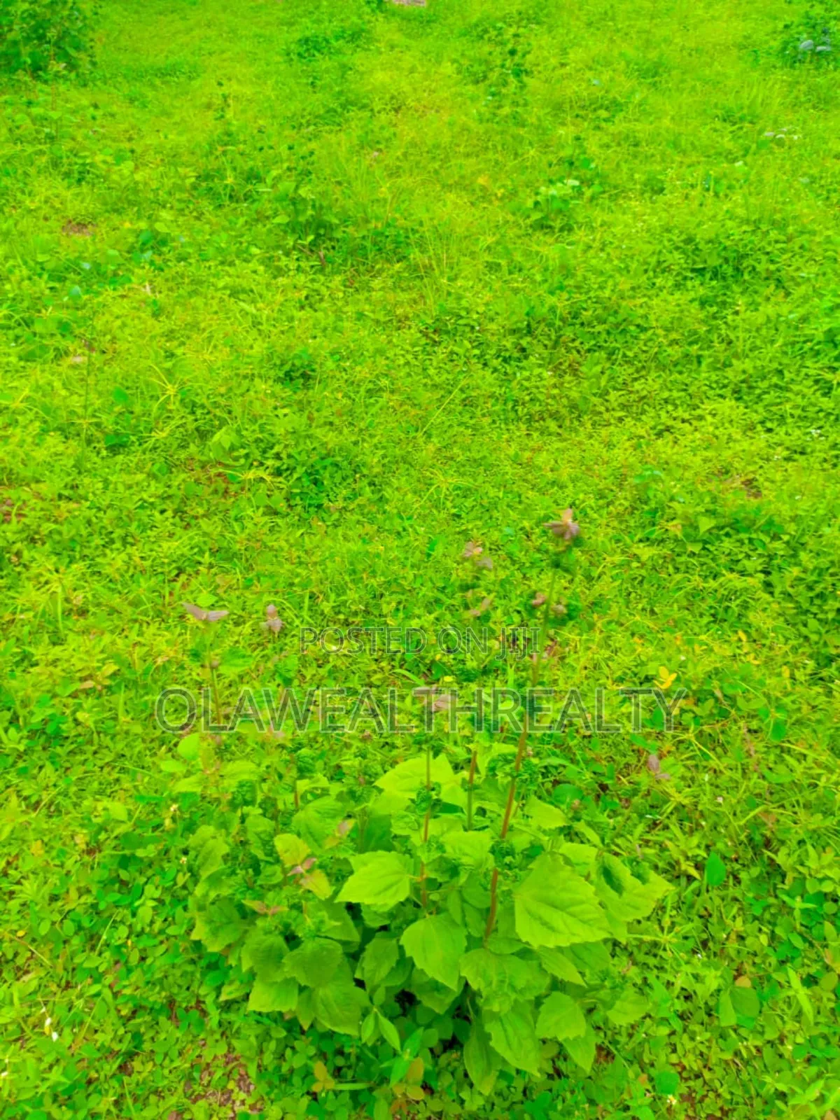 1029sqm Residential Land at Lere Adigun Gra, Bashorun in Ibadan