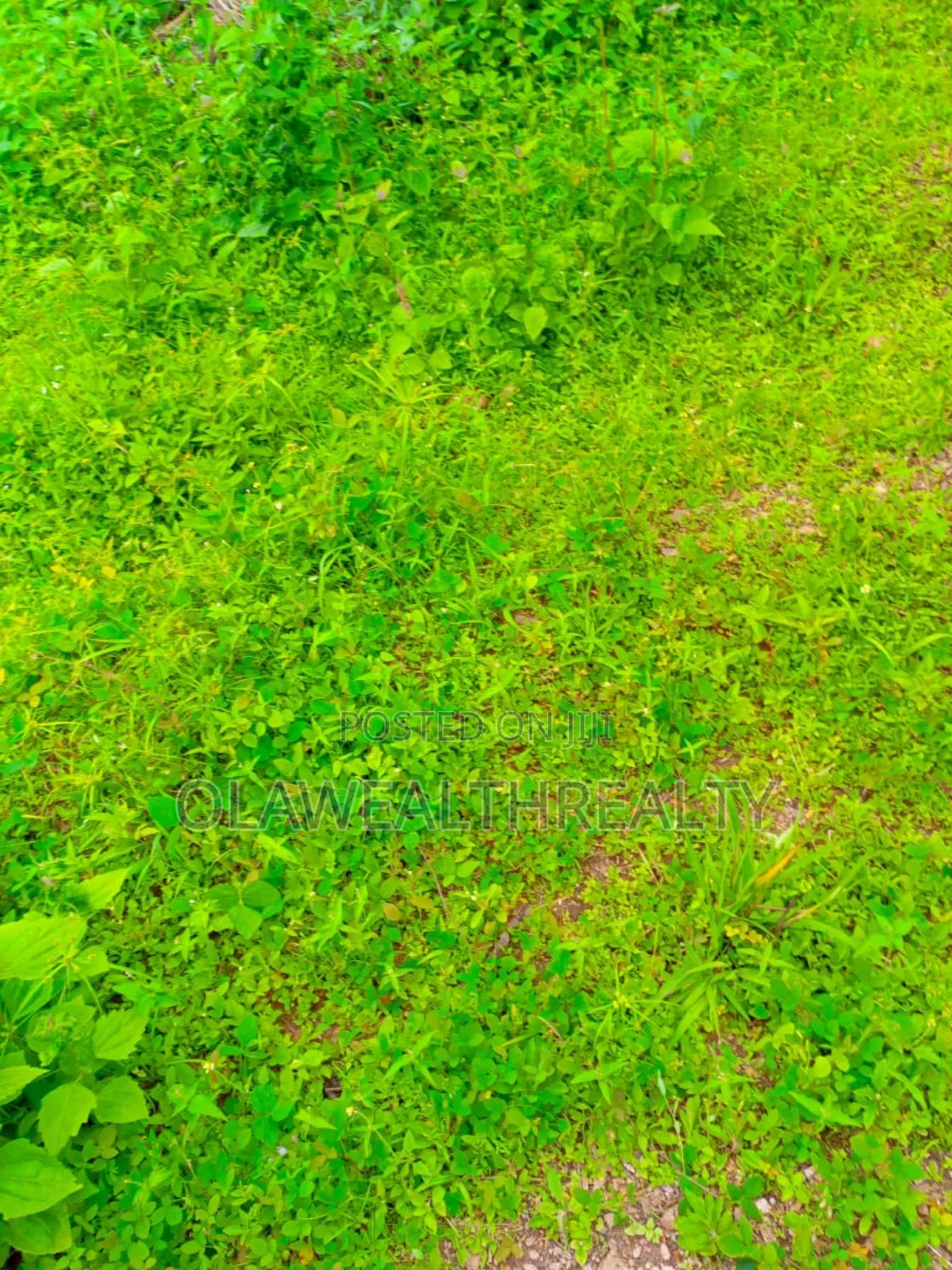 500sqm Residential Land At Forest Estate, Jericho Gra in Ibadan