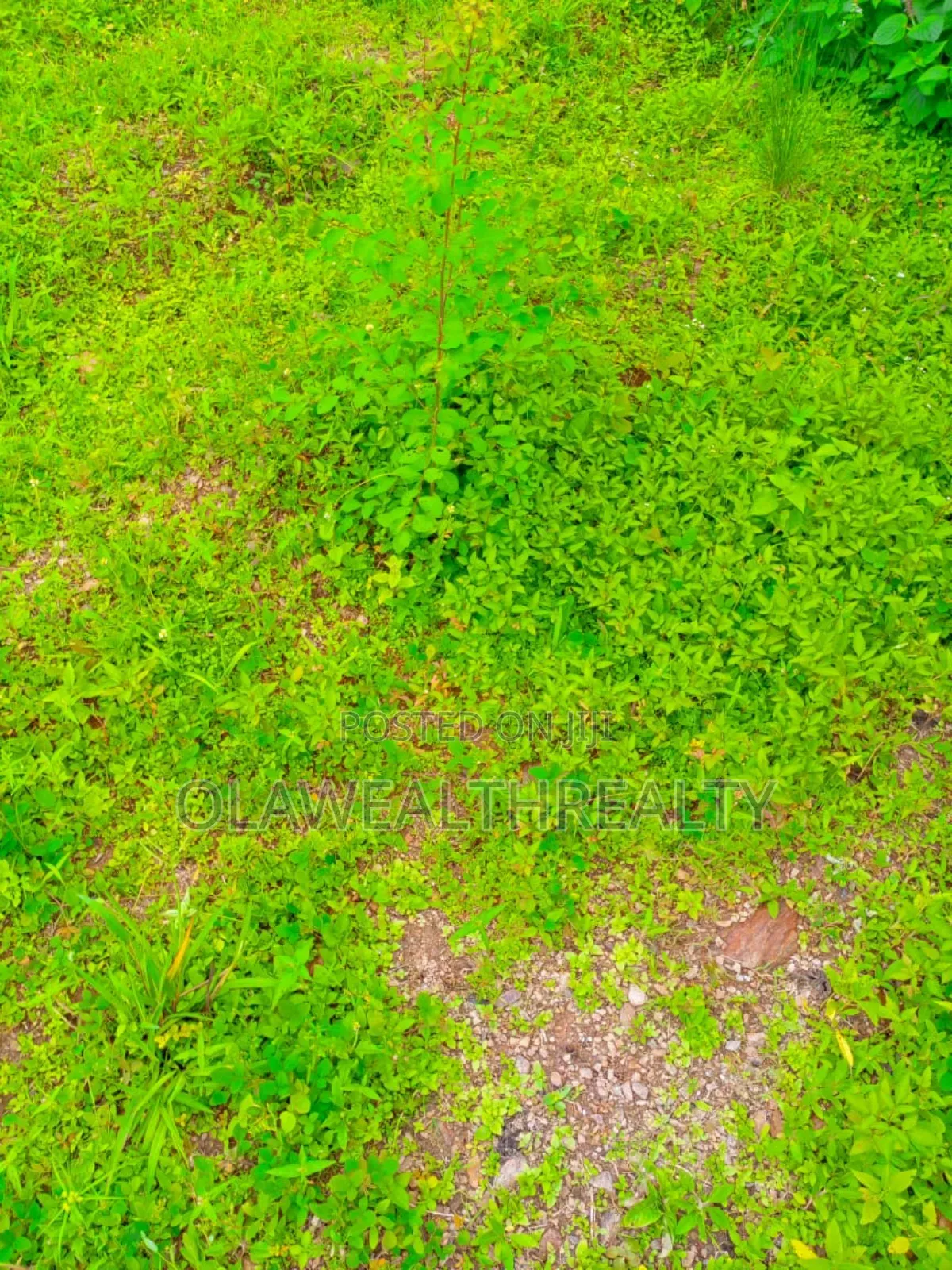 500sqm Residential Land At Forest Estate, Jericho Gra in Ibadan