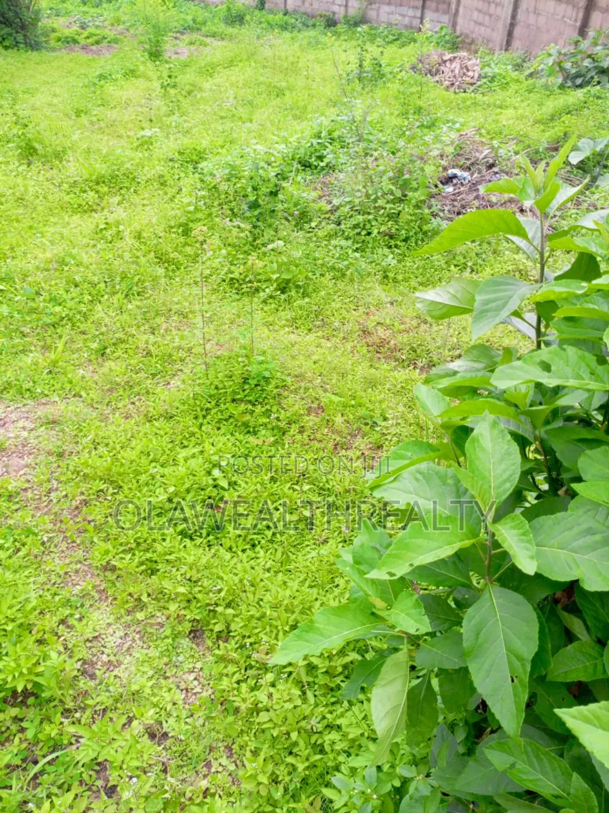 450sqm Residential Land at Tiger Estate Phase 1, Ibadan in Ibadan