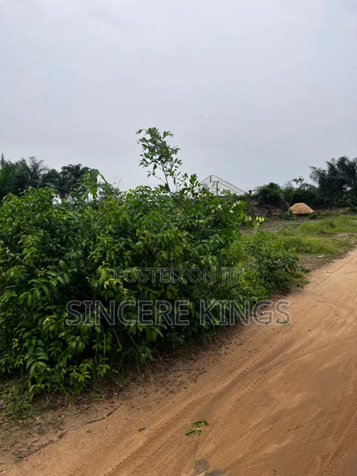 Residential Plot for Sale in Uyo