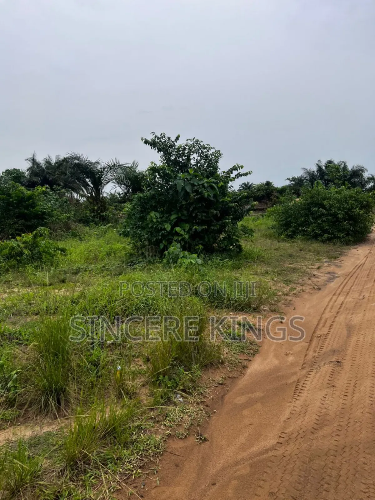 Residential Plot for Sale in Uyo