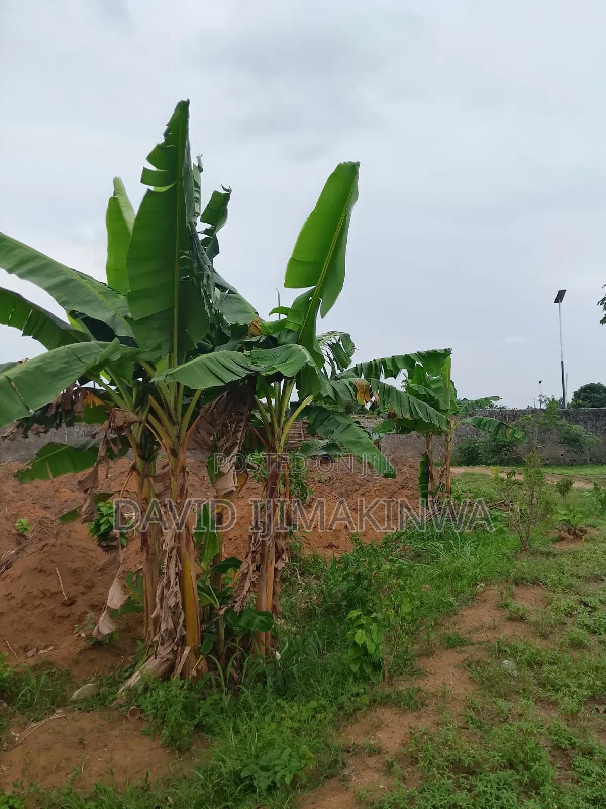 6 Plots of Land Available at Rukpokwu in Port-Harcourt