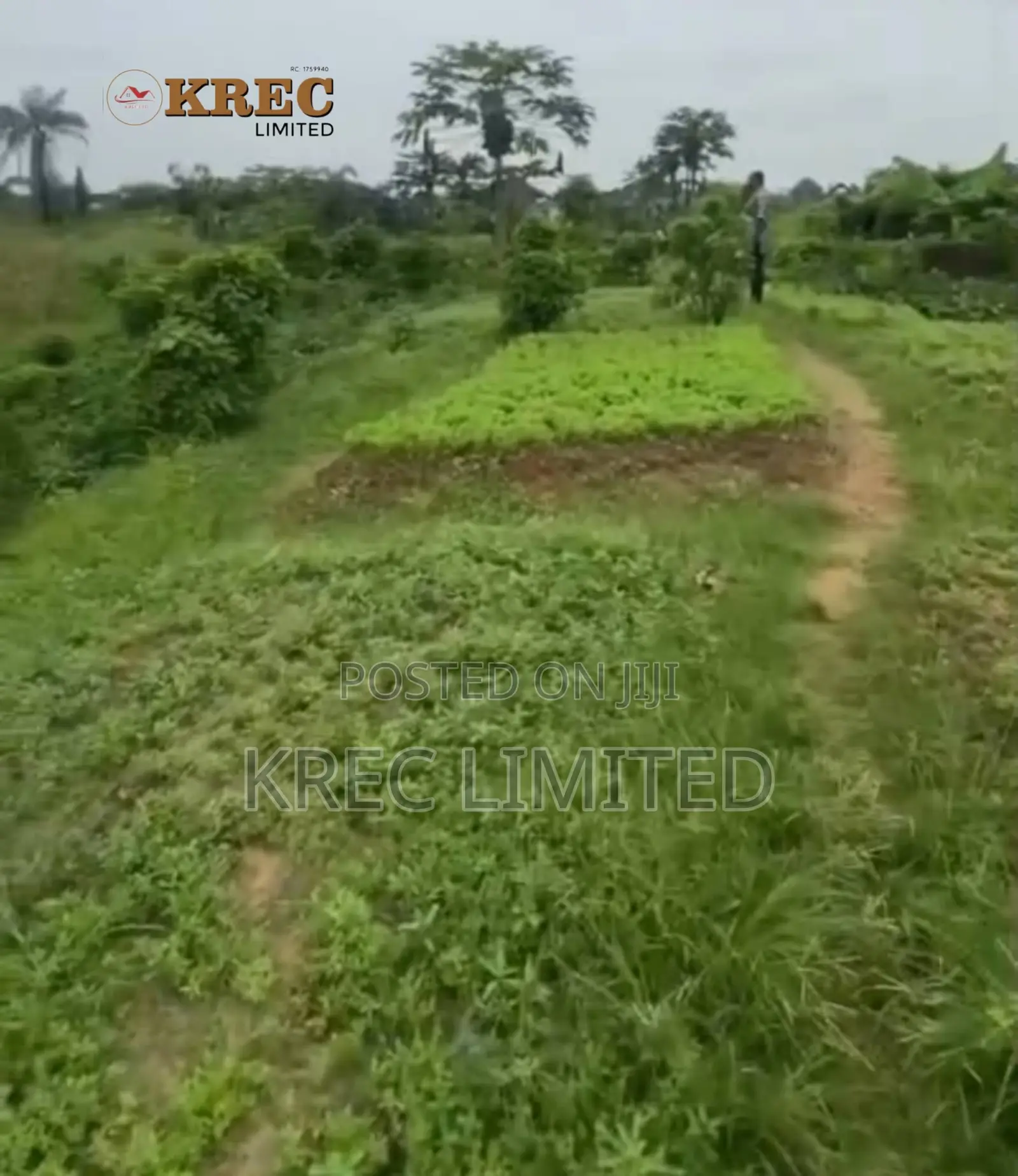 Deed of Conveyance at Ada George New Road in Rumueprikom