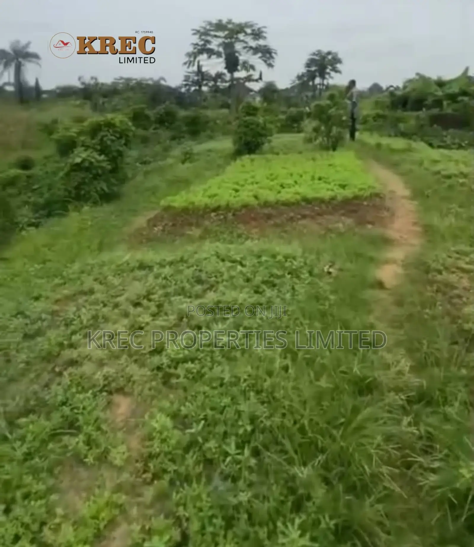 Deed of Conveyance at Ada George New Road in Rumueprikom