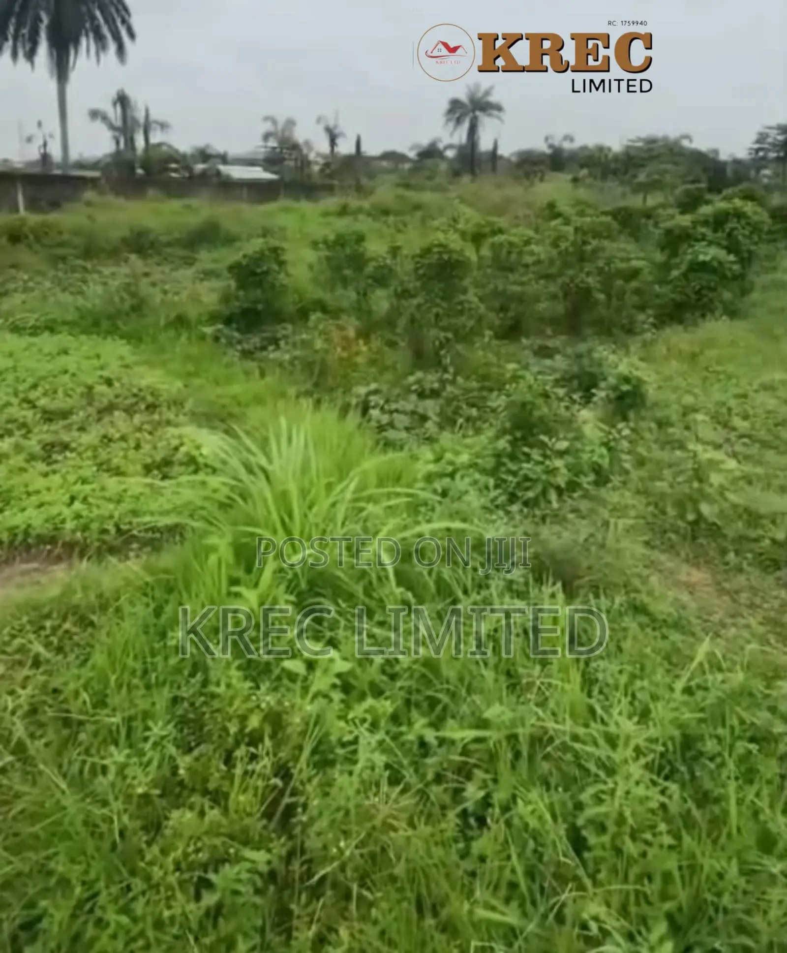 Deed of Conveyance at Ada George New Road in Rumueprikom