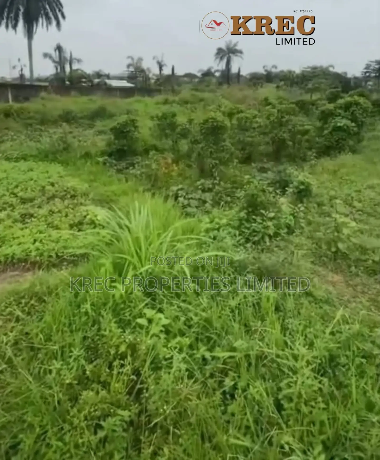 Deed of Conveyance at Ada George New Road in Rumueprikom