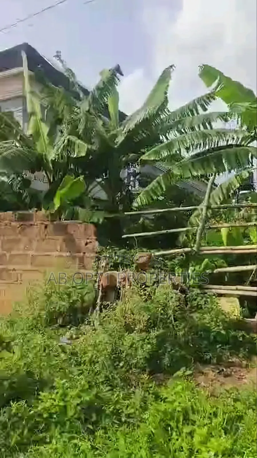 50ft/100ft Land at Oko Central Off Airport Road for Sale in Benin City
