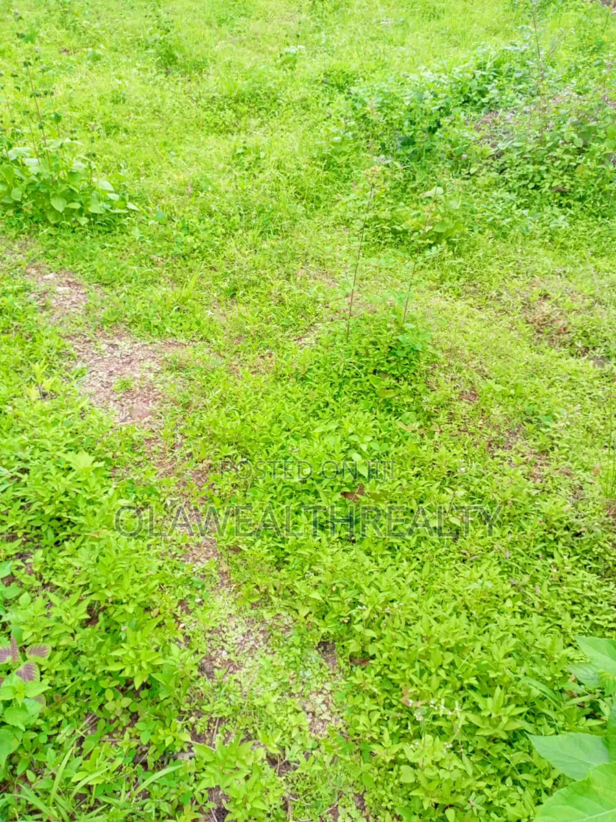 800sqm Residential Land at Kolapo Ishola Gra, Akobo in Ibadan