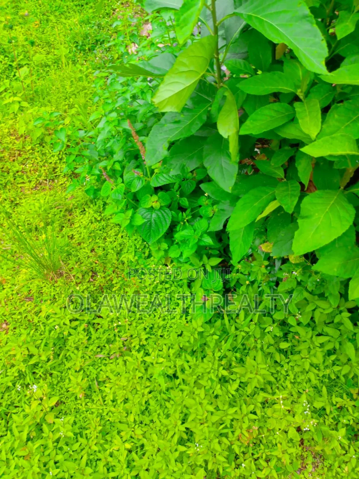 800sqm Residential Land at Kolapo Ishola Gra, Akobo in Ibadan