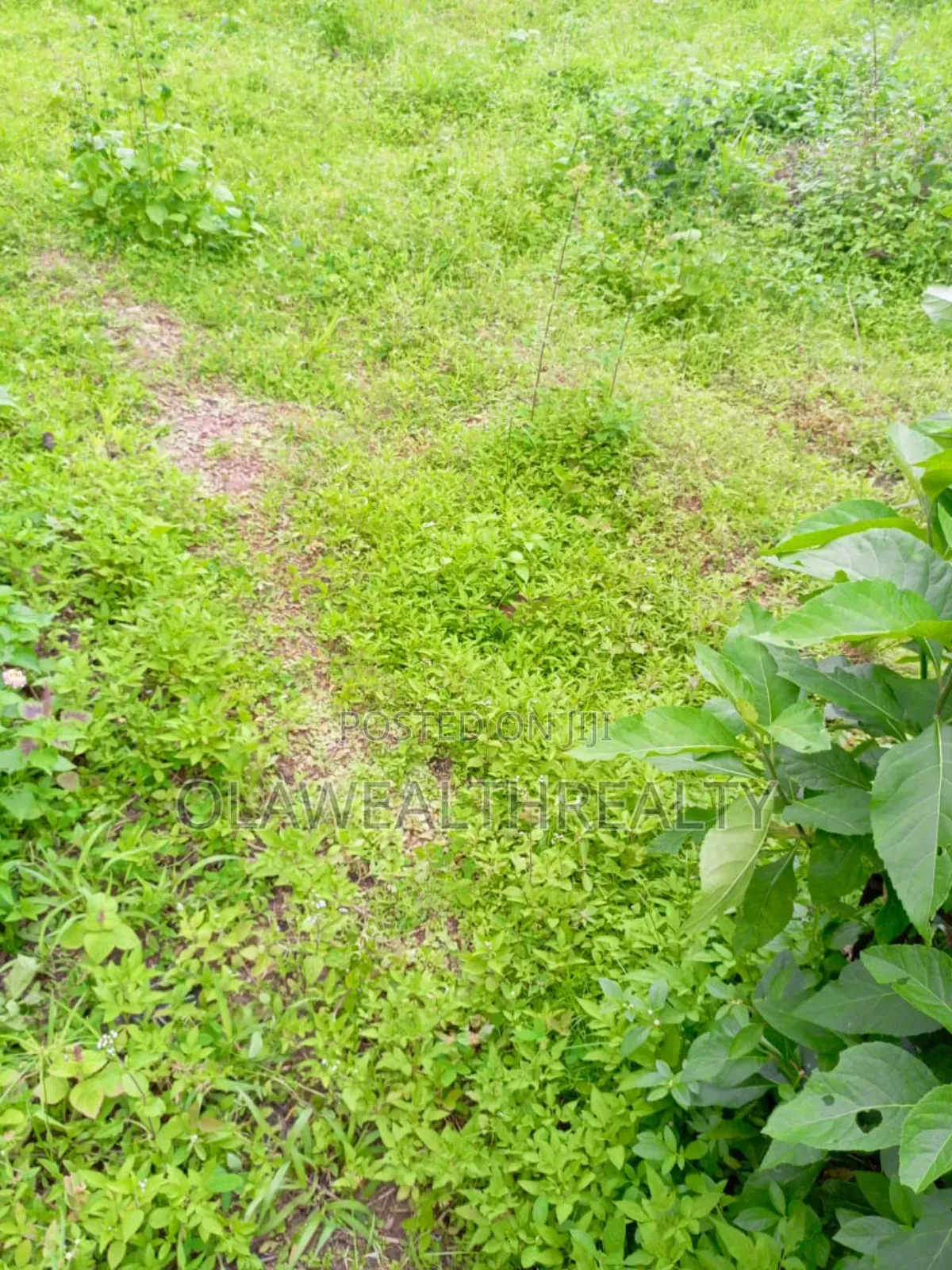 1600sqm Residential Land at Engr Lere Adigun Gra, Bashorun in Ibadan