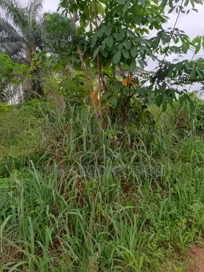 Land for Sale in Benin City